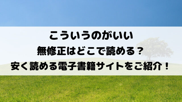 こういうのがいい無修正はどこで読める？安く読める電子書籍サイトをご紹介！