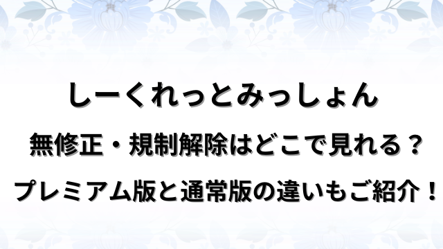 しーくれっとみっしょん無修正・規制解除はどこで見れる？プレミアム版と通常版の違いもご紹介！